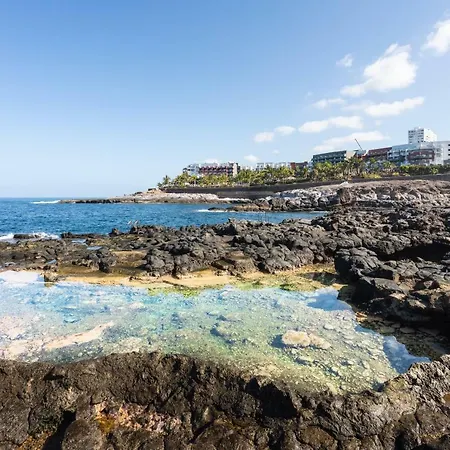 Elekagua Renting * Costa Adeje (Tenerife)